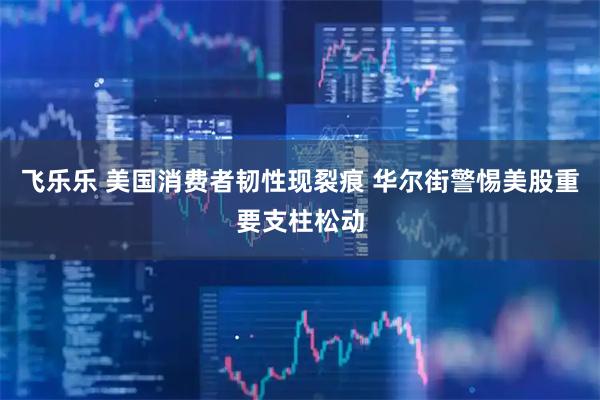 飞乐乐 美国消费者韧性现裂痕 华尔街警惕美股重要支柱松动