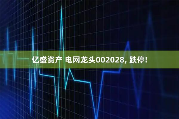 亿盛资产 电网龙头002028, 跌停!