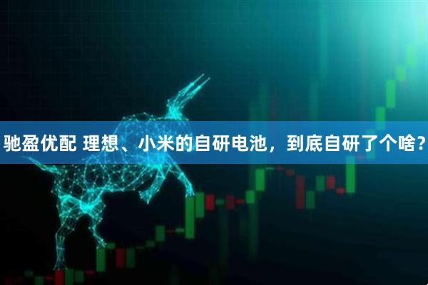 驰盈优配 理想、小米的自研电池，到底自研了个啥？
