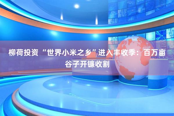 柳荷投资 “世界小米之乡”进入丰收季：百万亩谷子开镰收割